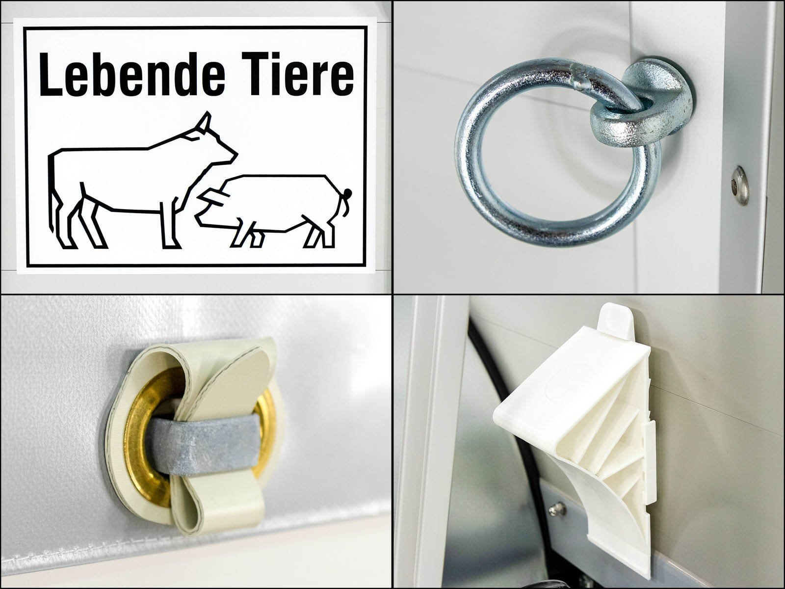 3-vie-15.jpg
