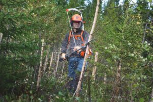 Husqvarna_Saege_535FBX_Action_02.jpg