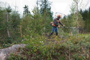 Husqvarna_Saege_535FBX_Action_03.jpg