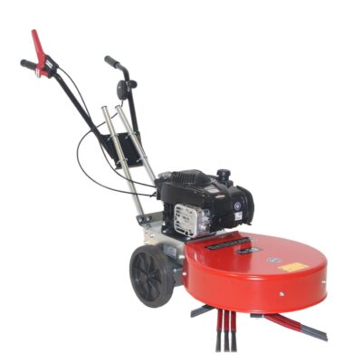 TIELBÜRGER Wildkrautbürste HW 50 – B&S 575 EXI